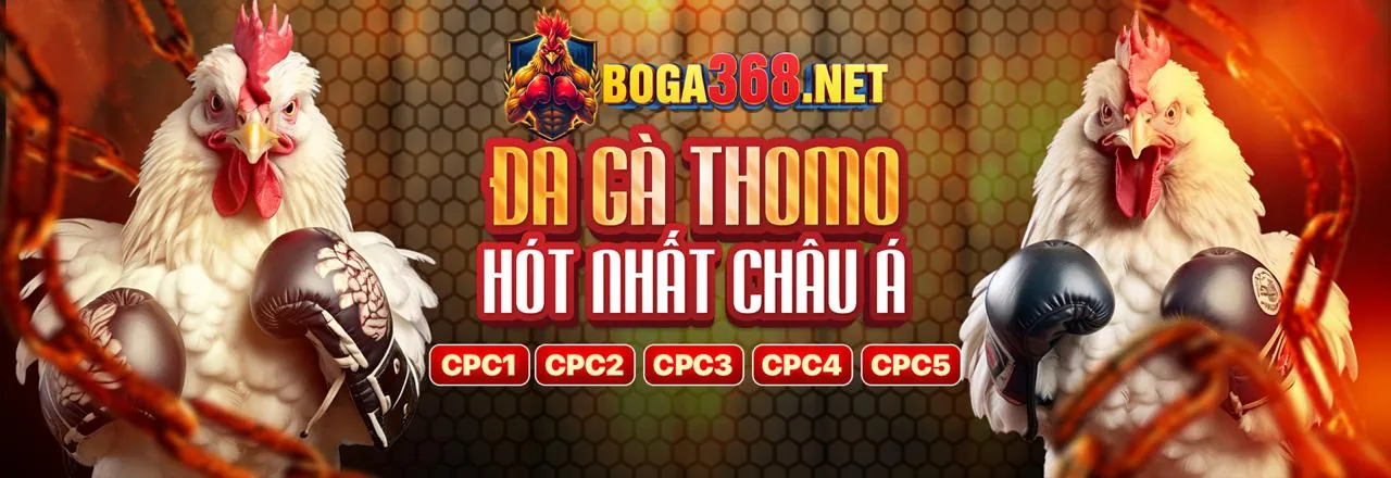 Đá gà trực tuyến kịch tính tại cam67 win